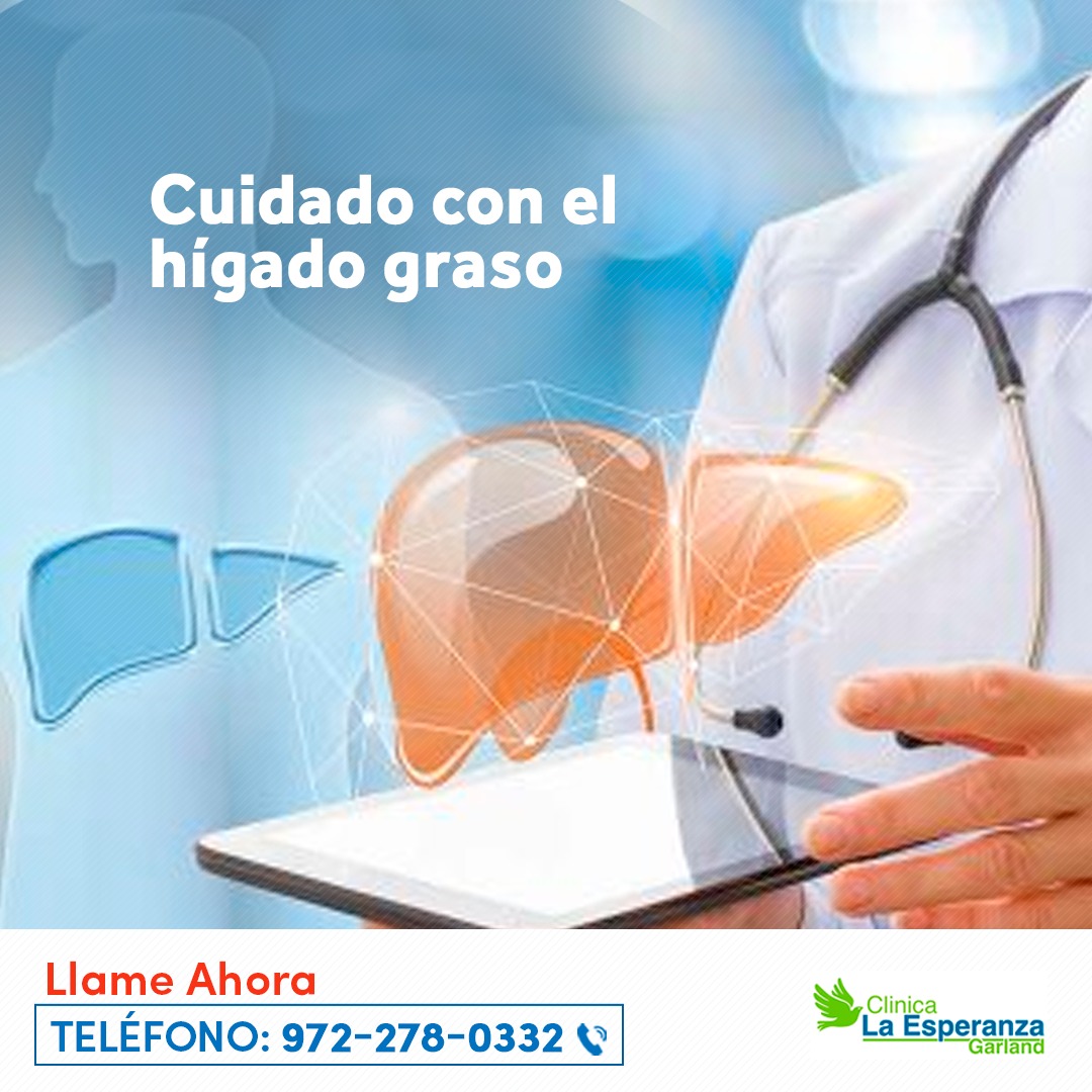Higado graso